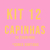 KIT 12 capinhas de courinho (cores sortidas)