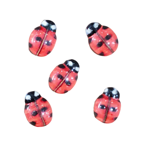 Aplique Joaninha 10 x 14 mm - 5 Unidades