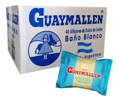 Caja Guaymallen en internet