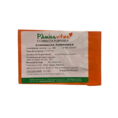 Semillas de Equinácea (Echinacea) - Pàmies vitae - comprar online