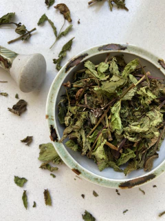 Hierba de Menta - comprar online