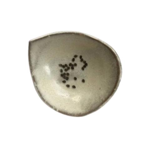 Semillas de Pasionaria