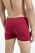 Boxer ALG 25 en internet