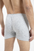 Boxer ALG 25 en internet