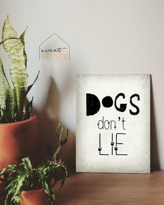 Placa Decorativa - Dogs Don't Lie