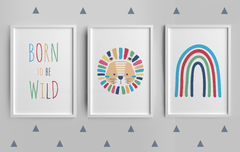 Conjunto 3 Quadros - Leãozinho Fantasia - comprar online