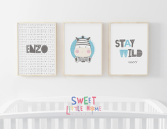 Conjunto 3 Quadros Quarto Infantil Zebrinha - Enzo