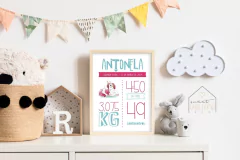 Quadro Nascimento - Little Girl - comprar online