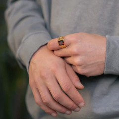 Anillo Shiny GL en internet