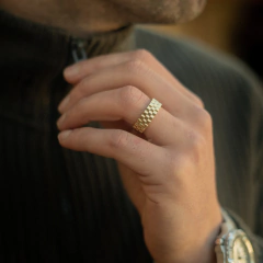 Anillo Magnate na internet