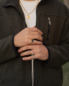 Anillo Onix en internet