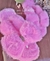 Chinelufa Rosa Chiclete com Laço - comprar online