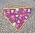 Bandana Pet - PRONTA ENTREGA
