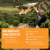 Rodrigo Mazzoco | lote 3 - 250g