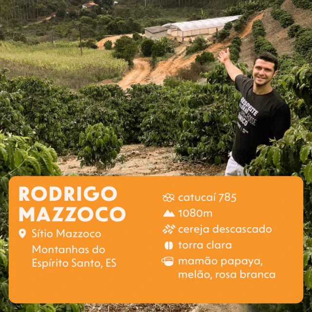Rodrigo Mazzoco | lote 3 - 250g