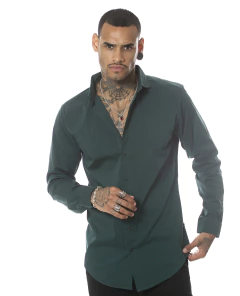 CAMISA ML REGULAR (I2303139) en internet