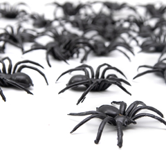 ARAÑA CHICA PATRIMAR X24 en internet