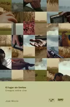 un lugar sin límites. ensayos sobre cine, josé miccio