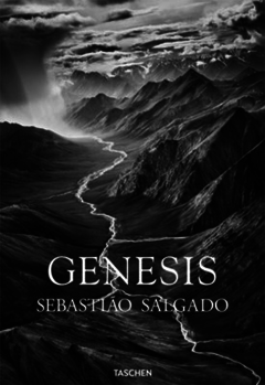Gnesis, Sebasti n Salgado