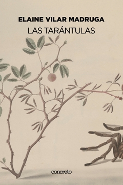 Las tarántulas, Elaine Vilar Madruga