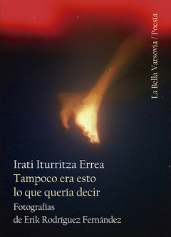 tampoco era esto lo que quería decir, irati iturritza errea
