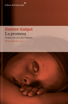 la promesa, damon galgut