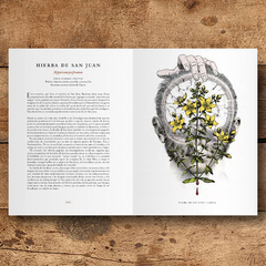 el jardín de las plantas medicinales. tratamientos antiguos para dolores modernos, alice smith - Volcán Azul Libros