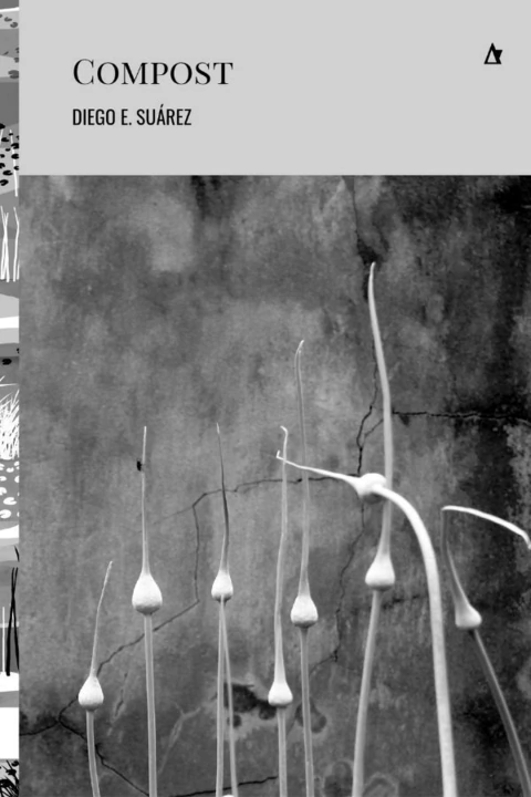 compost, diego e. suarez