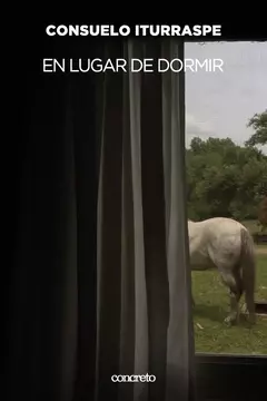 en lugar de dormir, consuelo iturraspe
