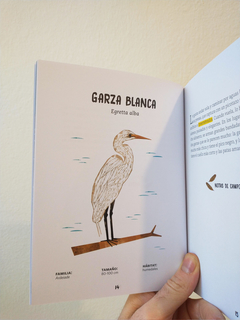 aves de buenos aires, mariela califano, victoria boano en internet