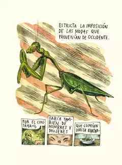 bola negra, mario bellatin y liniers - comprar online