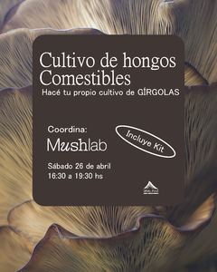 Taller de cultivo de hongos comestibles