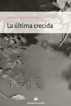 la última crecida, yanina gomez cernadas