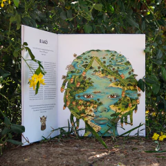 Origen, Nat Cardozo - comprar online