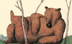 el milagro del oso, wolf erlbruch - comprar online