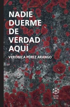 nadie duerme de verdad aquí, verónica pérez arango