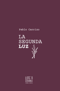 la segunda luz, pablo carrizo