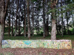 el bosque, sebastián llabaca en internet