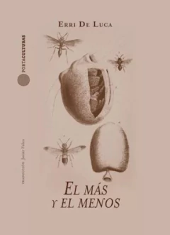 El más y el menos, Erri De Luca
