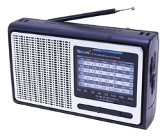 RADIO PORTATIL GOLON RX-3040 RECARGABLE - comprar online
