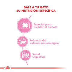 Alimento Royal Canin Mother & Babycat para Gatitos Recien Nacidos - tienda online