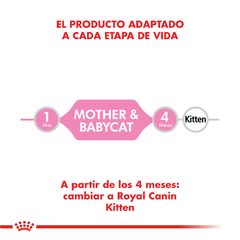 Alimento Royal Canin Mother & Babycat para Gatitos Recien Nacidos en internet