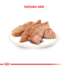 Pouch Royal Canin Kitten para Gatos x 85g - tienda online
