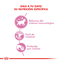 Pouch Royal Canin Kitten para Gatos x 85g - TotalPet