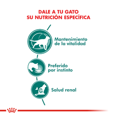 Pouch Royal Canin Instinctive 7+ para Gatos x 85g en internet