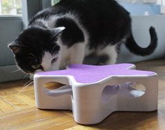 Juguete Gato Interactivo Estrella con Pluma a Batería - tienda online