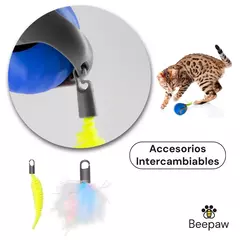 JUGUETE PELOTA INTELIGENTE BEEPAW SPEED-E - tienda online