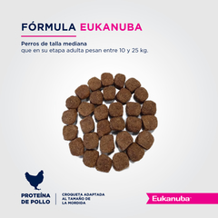 Alimento Eukanuba Adult Medium Breed para Perros Adultos Medianos - comprar online