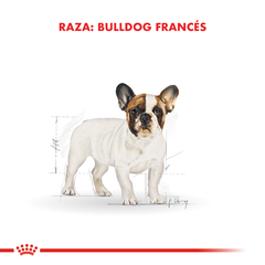 Alimento Royal Canin Bulldog Frances para Perros Adultos - tienda online