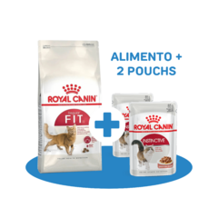 COMBO Royal Canin Alimento Gato Fit 15kg + 2 Pouchs Instinctive 85g - comprar online